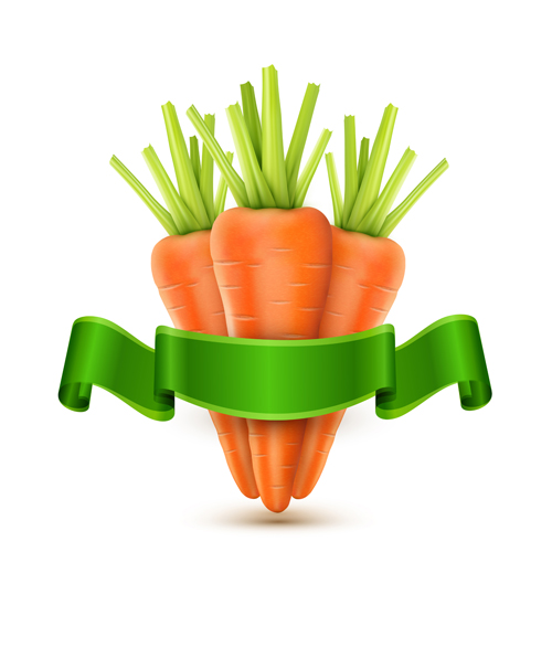 Carrot with green ribbon vector ribbon green carrot   