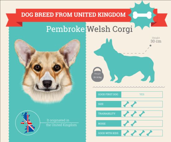 Dog breed business template vector 08 dog business breed   