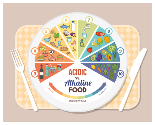 Acidic alkaline diet infographic vector 02 infographic diet alkaline Acidic   