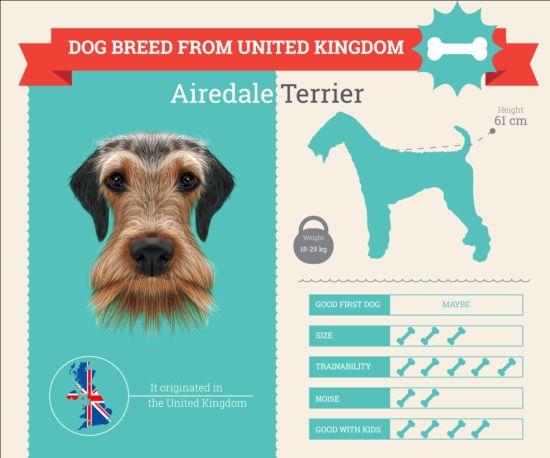 Dog breed business template vector 07 dog business breed   