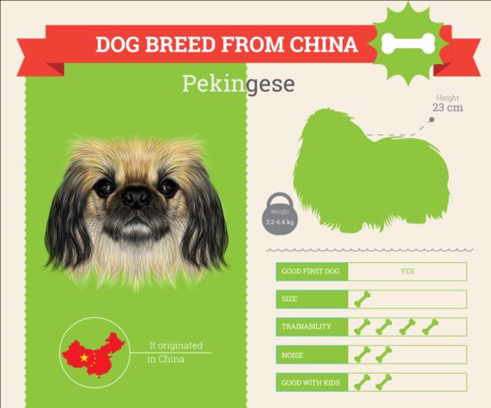 Dog breed business template vector 06 dog business breed   