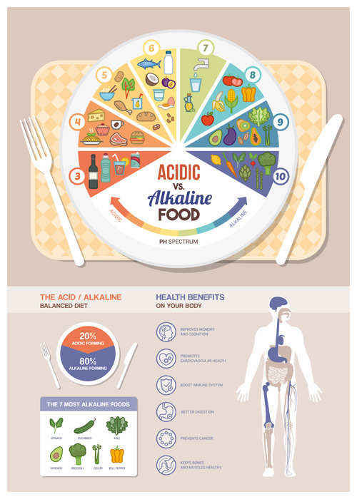 Acidic alkaline diet infographic vector 01 infographic diet alkaline Acidic   