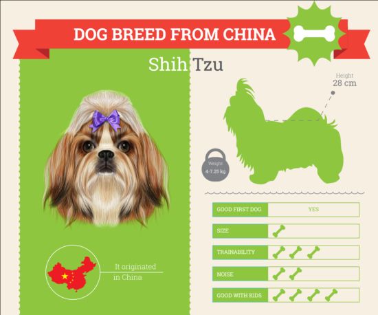 Dog breed business template vector 05 dog business breed   