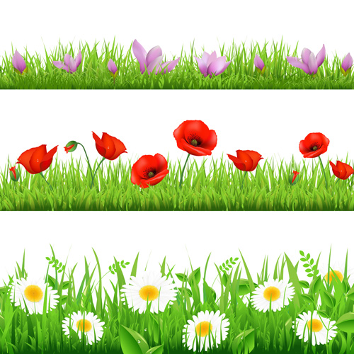 Grass with flower borders vector 04 grass flower borders   