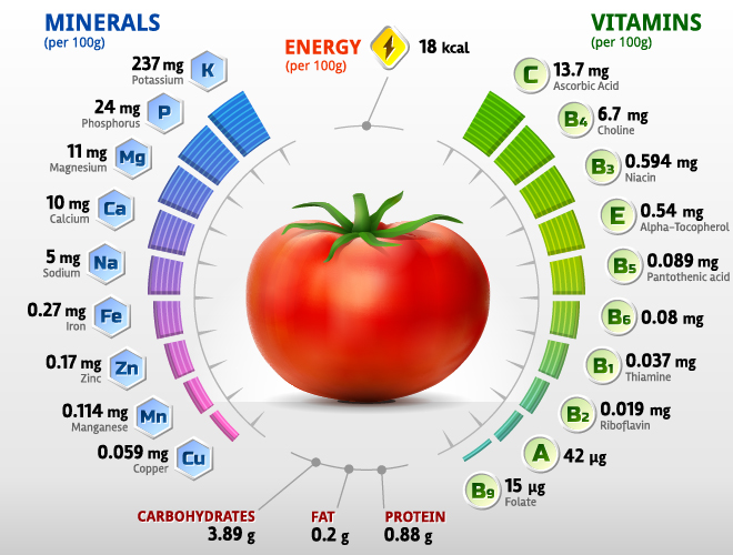 Tomato vitamins infographics vector vitamins tomato infographics   