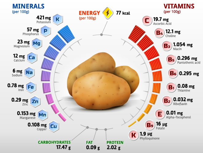 Potato vitamins infographics vector vitamins potato infographics   