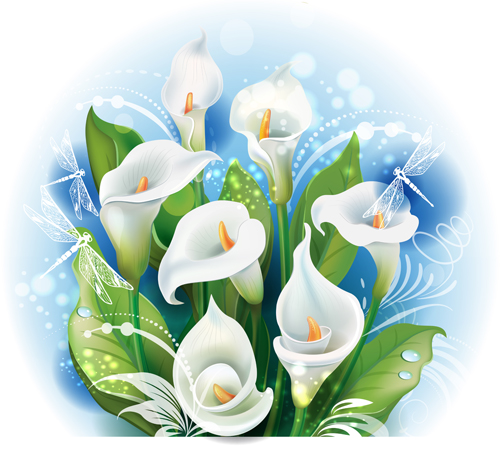 White calla with dragonfly vector material white dragonfly calla   