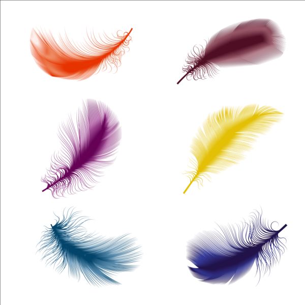 Colored bird feathers vector 01 feathers colored bird   