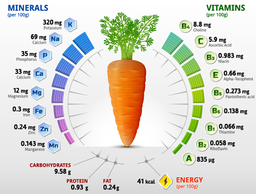Carrot vitamins infographics vector vitamins infographics carrot   