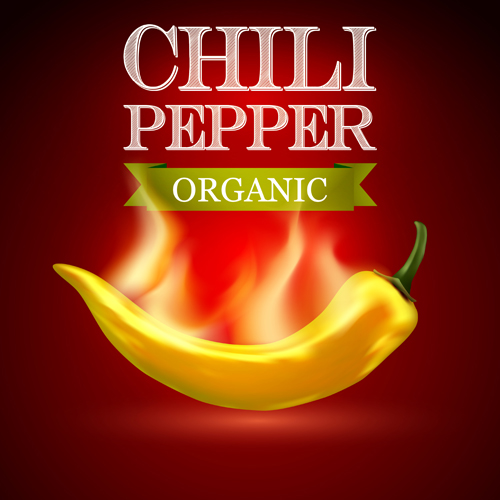 Organic chili pepper poster vector 03 poster pepper organic chili   