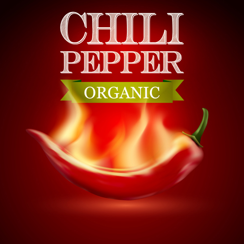 Organic chili pepper poster vector 02 poster pepper organic chili   