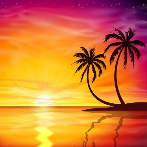 Beautiful sunset with palm trees background vector trees sunset Palm beautiful background   