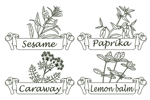 Hand drawn herbs and spices labels vector 10 spices labels herbs hand drawn   