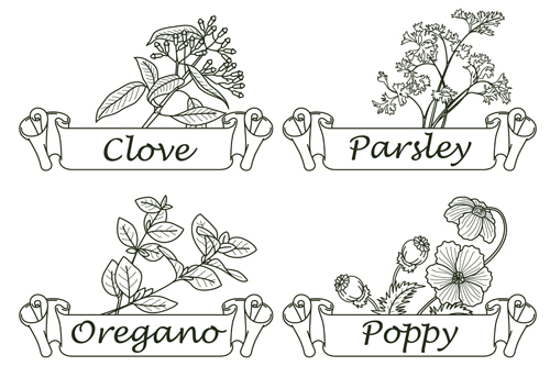 Hand drawn herbs and spices labels vector 08 spices labels herbs hand drawn   