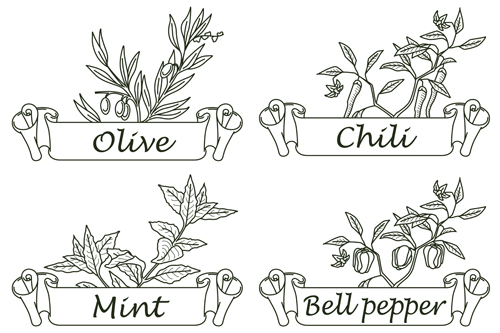 Hand drawn herbs and spices labels vector 07 spices labels herbs hand drawn   