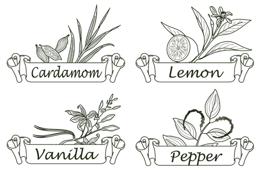 Hand drawn herbs and spices labels vector 06 spices labels herbs hand drawn   