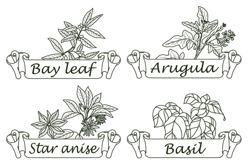 Hand drawn herbs and spices labels vector 03 spices labels herbs hand drawn   