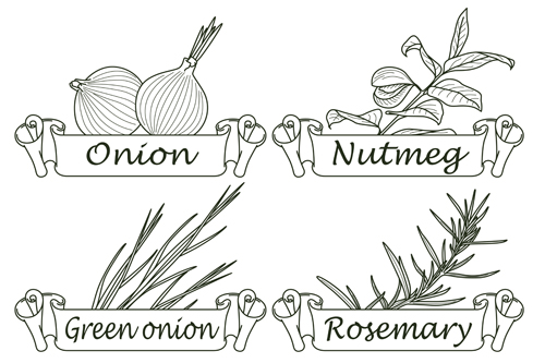 Hand drawn herbs and spices labels vector 02 spices labels herbs hand drawn   