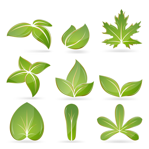 Different green leaves vector set 02 leaves green different   