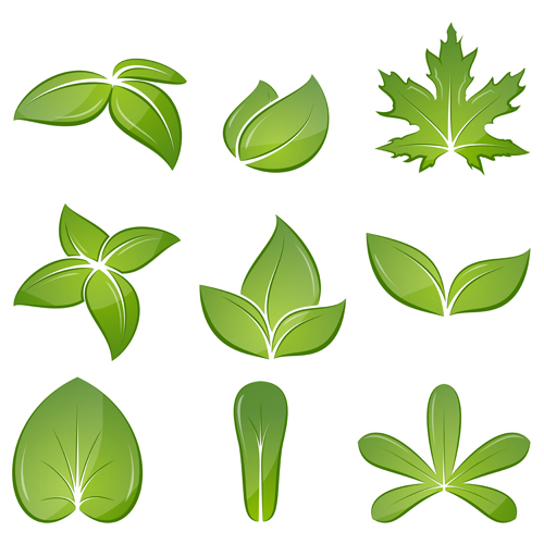 Different green leaves vector set 01 leaves green different   