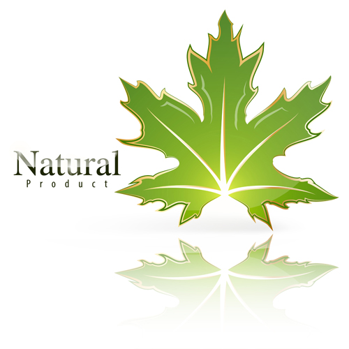 Shiny green leaf with nature logo vector 03 shiny nature logo leaf green   