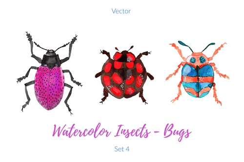 Watercolor insects with bugs vector 01 watercolor insects Bugs   