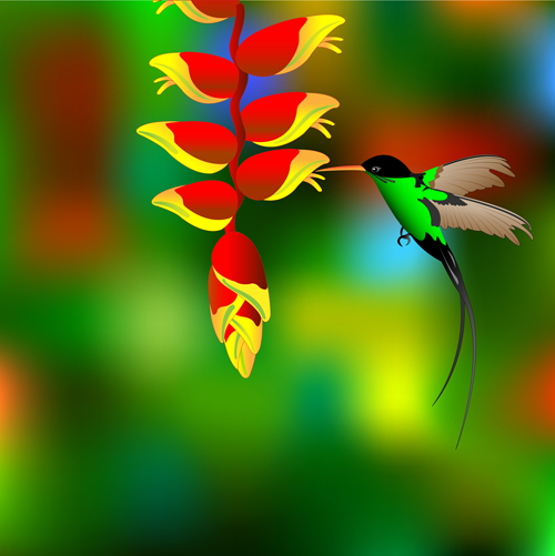 Flower with hummingbird vector material Flower hummingbird   