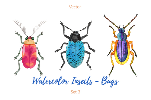 Watercolor insects with bugs vector 04 watercolor insects Bugs   