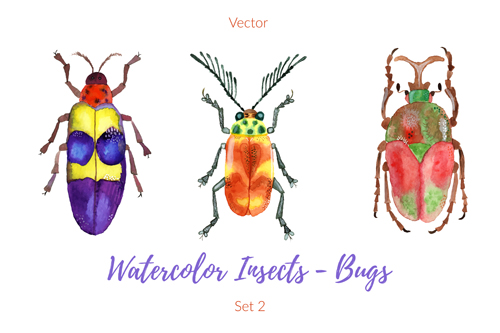Watercolor insects with bugs vector 03 watercolor insects Bugs   