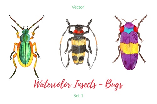 Watercolor insects with bugs vector 02 watercolor insects Bugs   