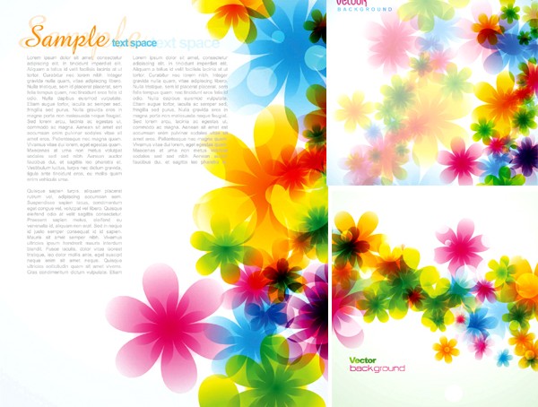 Colorful flower beautiful background vector flower colorful   