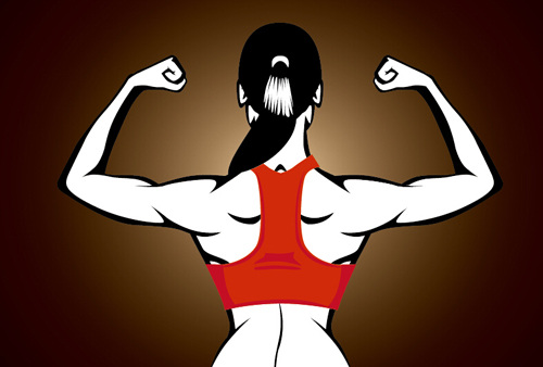 Back muscle woman vector woman muscle back   