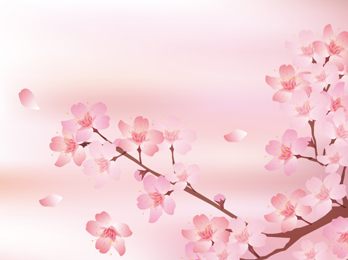 Beautiful sakura art background vector set 06 sakura beautiful   