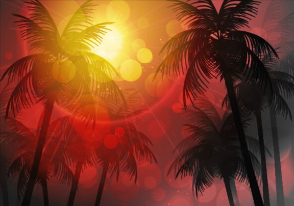 Sunlight with palm trees vector background 01 trees sunlight Palm background   