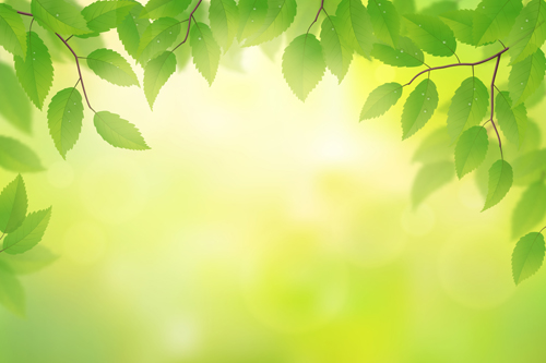 Spring sunlight with green leaves vector background 05 sunlight spring leaves green background   