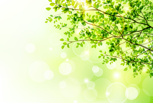 Spring sunlight with green leaves vector background 03 sunlight spring leaves green background   