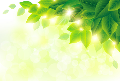 Spring sunlight with green leaves vector background 02 sunlight spring leaves green background   