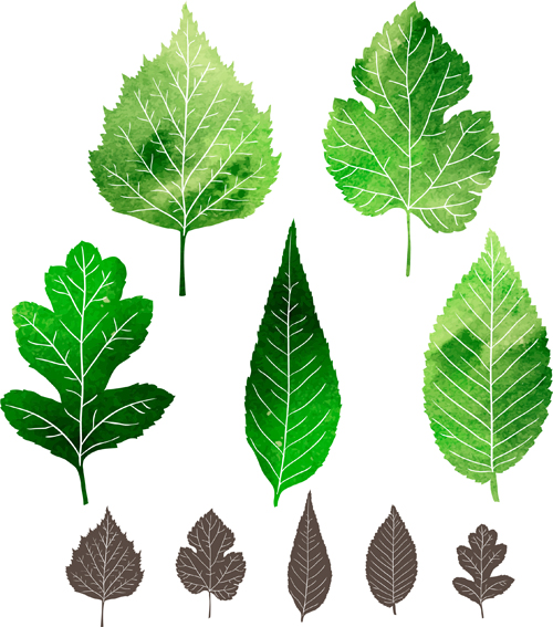 Black leaves and green leaves vector leaves green black   