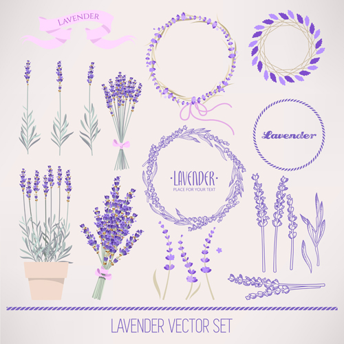 Lavander wreath with bouquet vector wreath lavander bouquet   