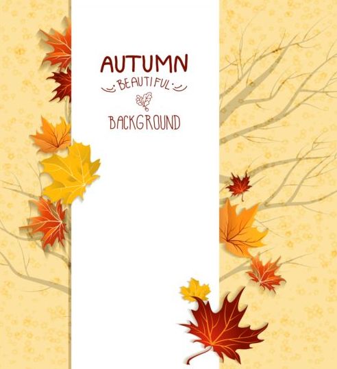 Maple leaves with autumn card vector maple leaves card autumn   