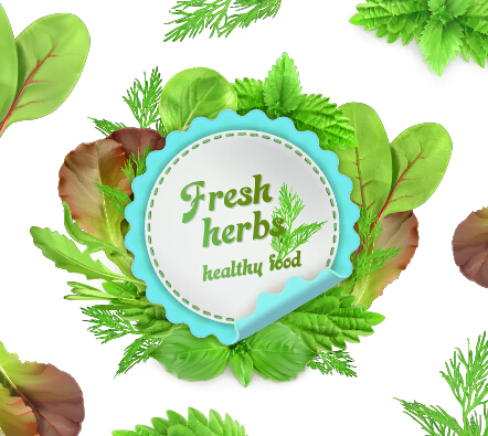 Fresh herbs labels with vector illustration labels herbs fresh   