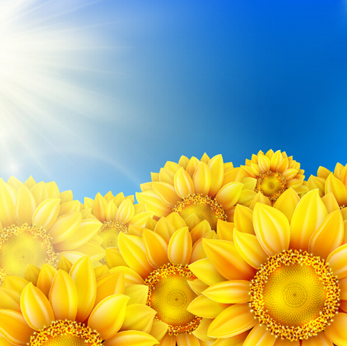 Blue sky with sunflower flower vector background sunflower flower blue background   