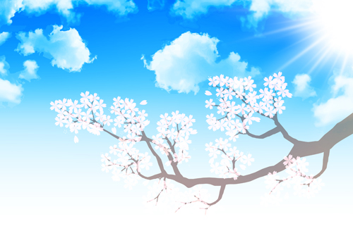 Sakura with blue sky vector background 01 sky sakura blue background   