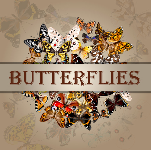 Vintage butterflies art background vector 05 vintage butterflies background   