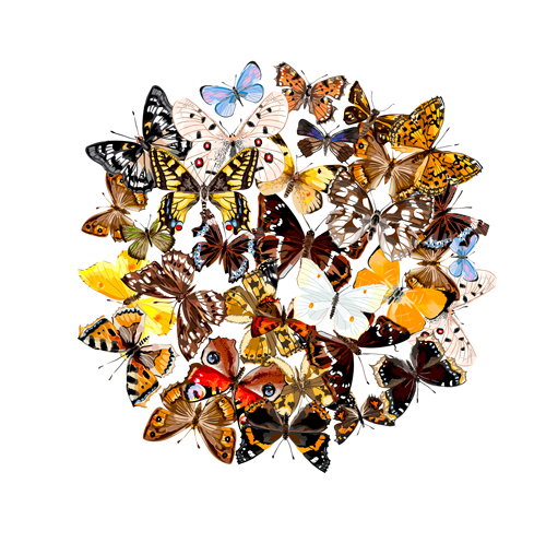Vintage butterflies art background vector 04 vintage butterflies background   