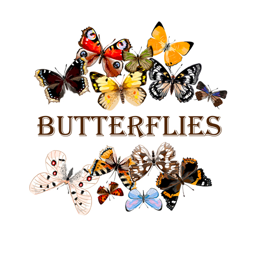 Vintage butterflies art background vector 02 vintage butterflies background   
