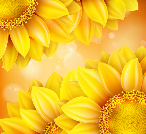 Sunflower flower with bokeh vector background 20 sunflower flower bokeh background   