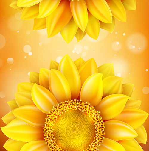 Sunflower flower with bokeh vector background 19 sunflower flower bokeh background   