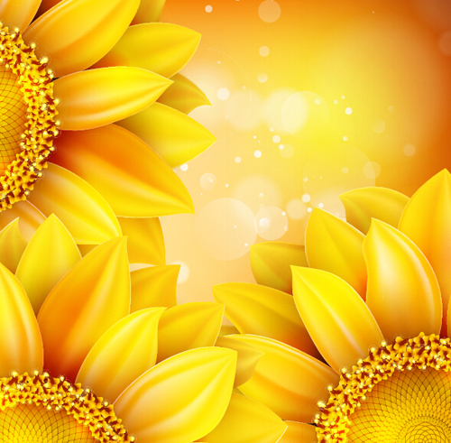 Sunflower flower with bokeh vector background 18 sunflower flower bokeh background   