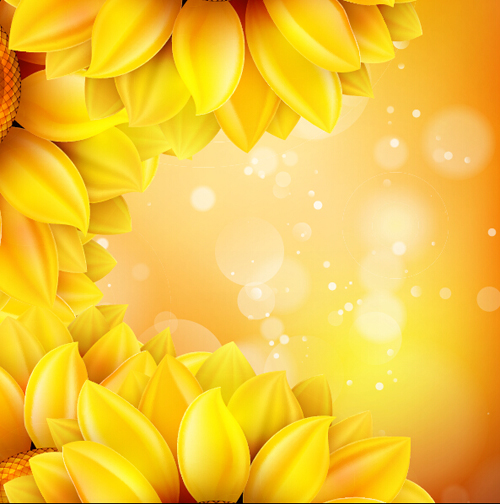 Sunflower flower with bokeh vector background 17 sunflower flower bokeh background   